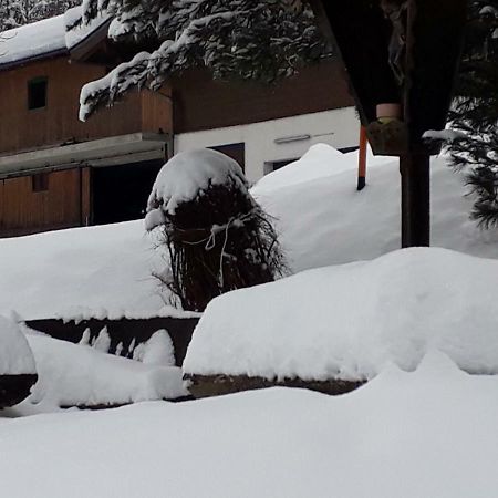 Appartement Wildkogelblick Neukirchen am Großvenediger Kültér fotó