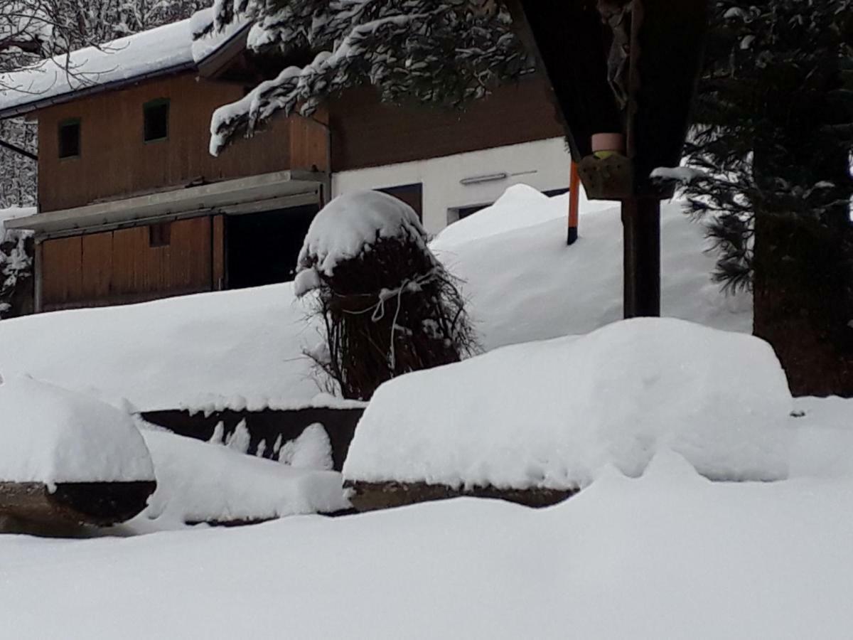 Appartement Wildkogelblick Neukirchen am Großvenediger Kültér fotó